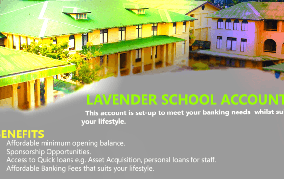 Enjoy flexibility with Lavender School Accounts